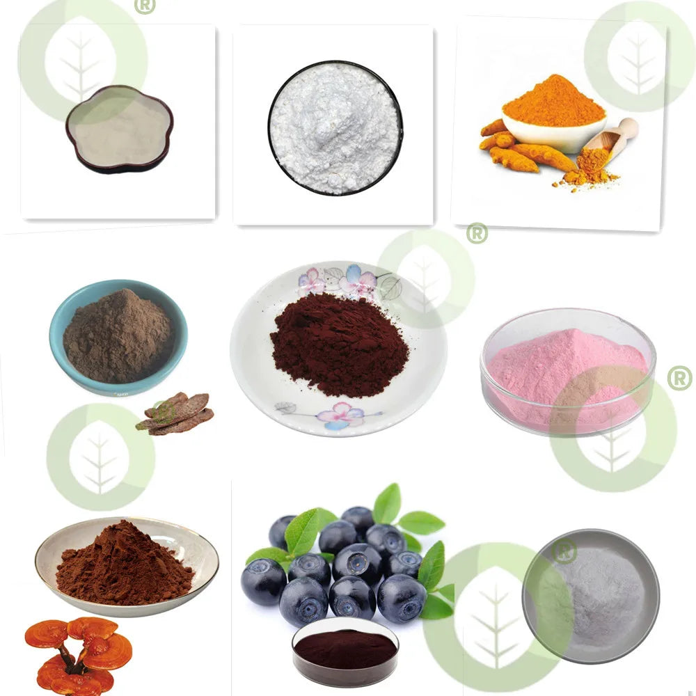 Snail Slime Extract Powder for Skin